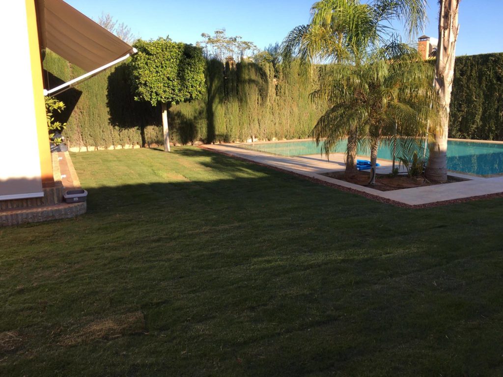 RENOVACIÓN DE JARDÍN. CÉSPED Y RIEGO. - Viveros Olimpia Sevilla